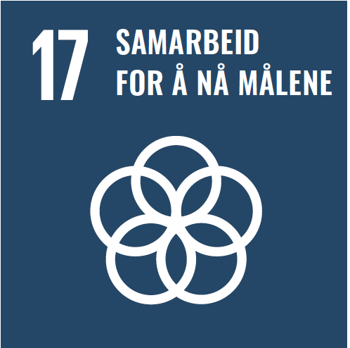 FN bærekraftsmål 12 - Samarbeid for å nå målene